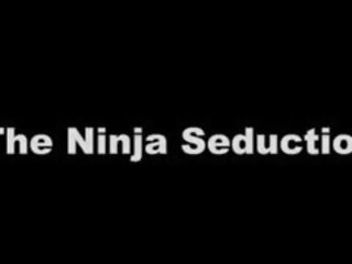 Den ninja forførelse